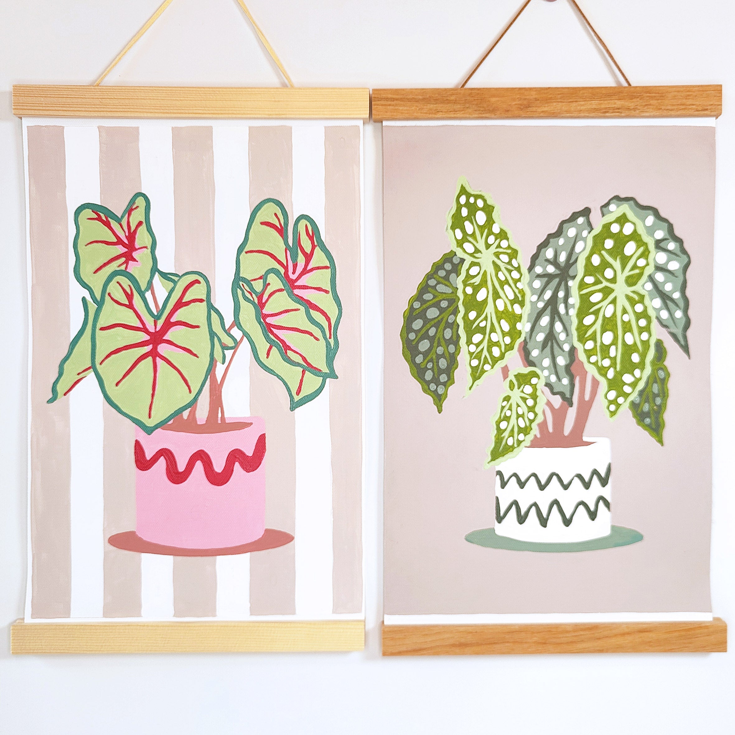 House Plant Sip and Paint by Number Kit Series - Spotted Leaf Begonia Maculata Tropical